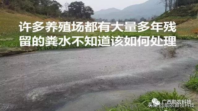 牛蛙的养殖污水处理技术_污水养殖牛蛙处理技术规程_牛蛙养殖污水排放标准