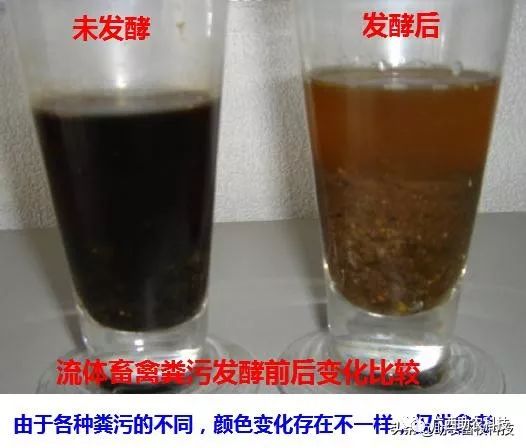 牛蛙养殖污水排放标准_牛蛙的养殖污水处理技术_污水养殖牛蛙处理技术规程